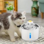 آب خوری گربه